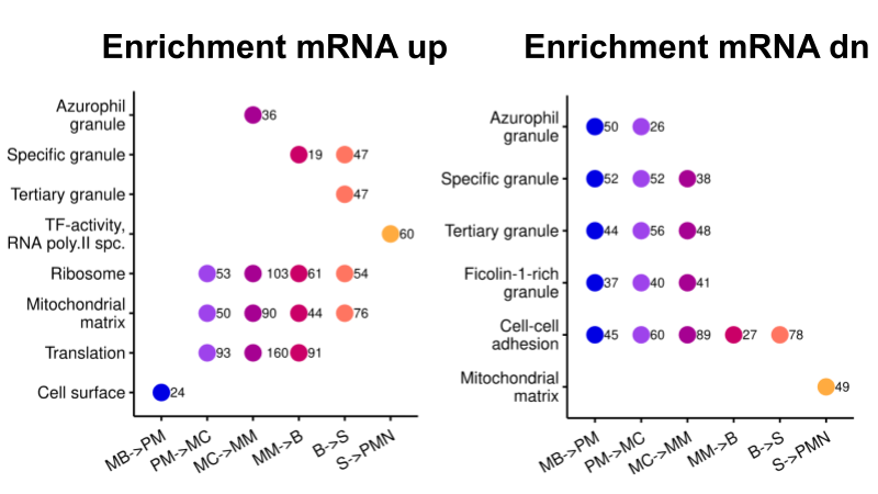 Figure 2: Multi-omics Overview
