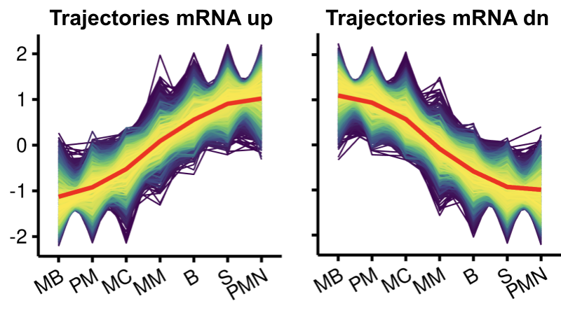 Figure 3: Longitudinal Trajectories