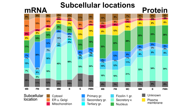 Figure 5: TF & lncRNA Analysis